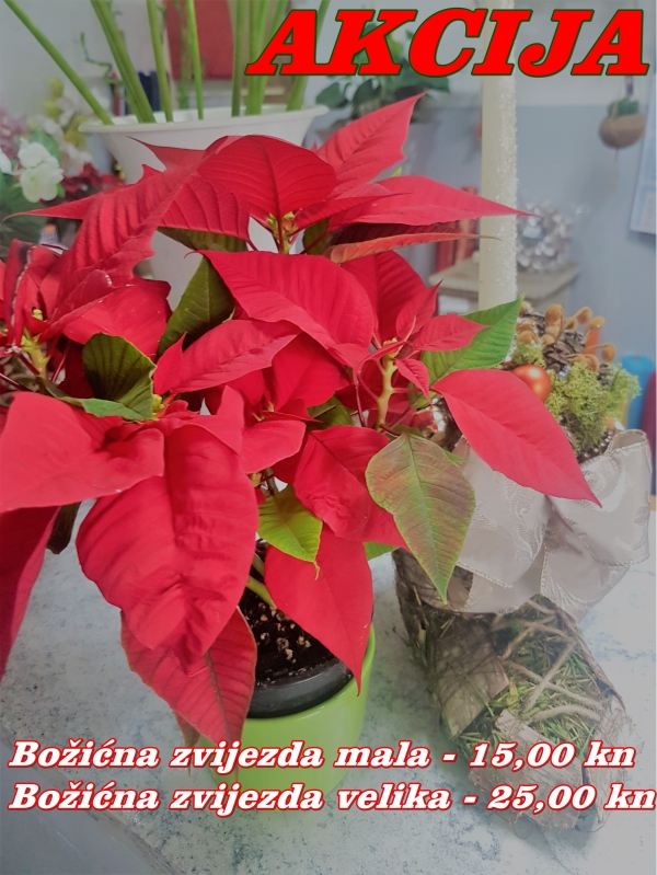 AKCIJA