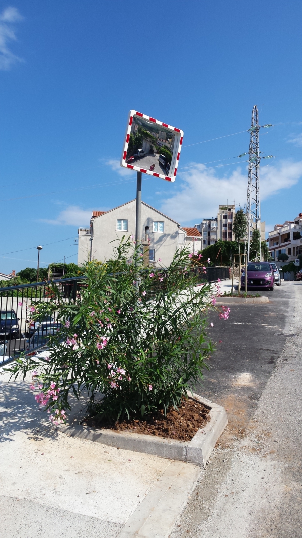 Zavrseno hortikulturno uredenje novih povr&scaron;ina u ulici Stjepana Cvijića